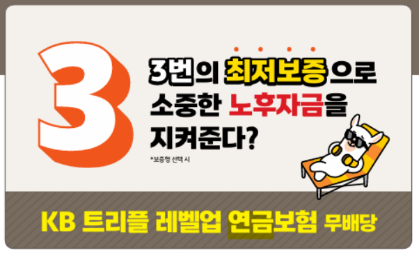 사진출처=KB라이프생명 상품 리플렛 갈무리