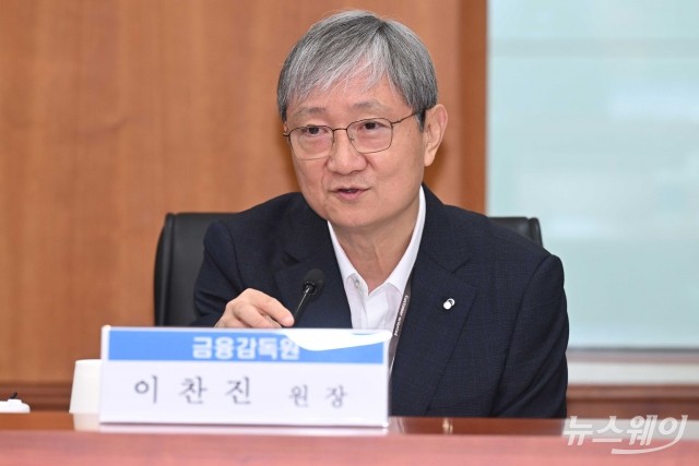 이찬진 금감원장 "투자자 보호 최우선, 모험자본 공급은 본연의 책무"