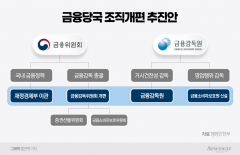 조직개편에 금융위·금감원 뒤숭숭···'조직분리·공공기관 지정' 과제 산적
