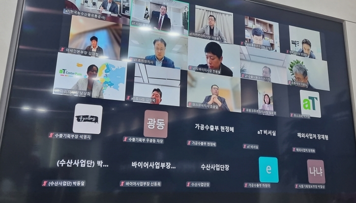 '1차 K-푸드 수출전략회의'를 주재하는 홍문표 사장(화면)