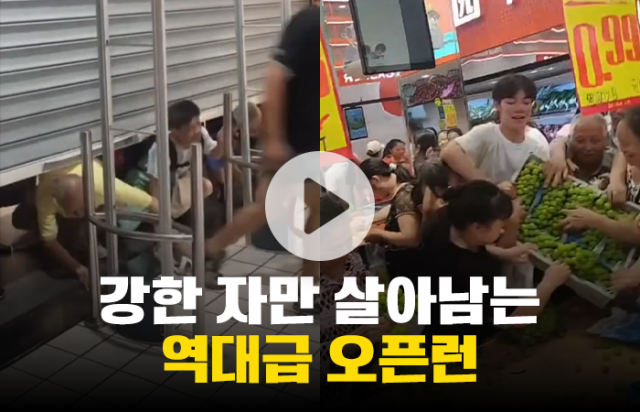 슈퍼마켓의 위험한 오픈런···판매 상품이 수상하다?