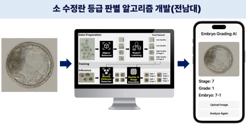 전남대, 한우 수정란 품질 판별 알고리즘 개발로 축산계 난제 해결