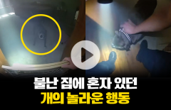 불난 집에 혼자 있던 개의 놀라운 행동