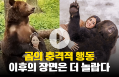 곰의 충격적 행동···이후의 장면은 더 놀랍다