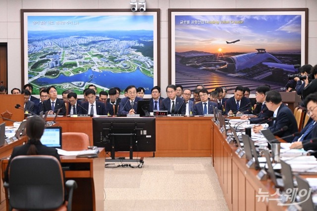 국감 도마 오른 롯데건설··· 쌍령공원 사업 두고 유동성 점검