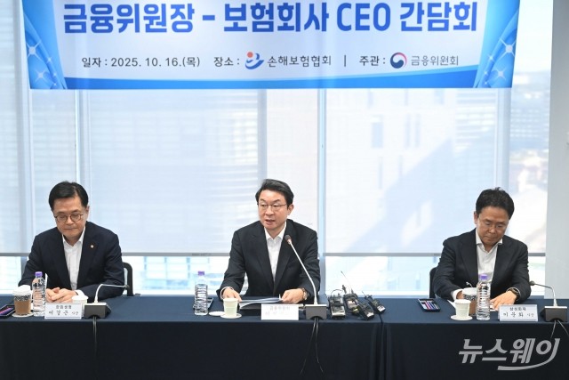 이억원 금융위원장, '보험사 생산적 금융 유도 할인율' 발표