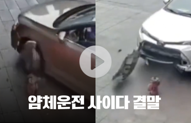 '도로 놔두고 왜···?' 얌체 운전자들의 최후