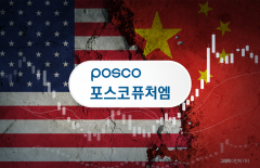 "中통제 전철 없다"···포스코퓨처엠, 흑연 자립 '본궤도'