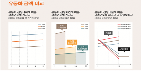 사망보험금 유동화 상품, 오는 30일부터 출시된다