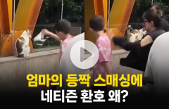 아들 때린 엄마에게 네티즌 환호···왜?