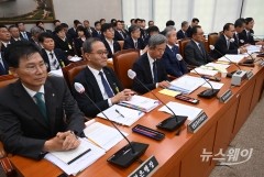 "관리만 농협은행, 연체는 지역농협?"···강태영 행장 "수수료 체계 전환 검토"