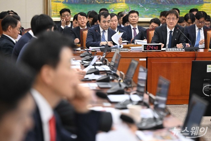 이찬진 금융감독원장이 27일 오후 서울 여의도 국회 정무위원회에서 열린 금융위원회·금융감독원 등에 대한 2025년도 종합 국정감사에서 의원의 질문에 답변하고 있다. 사진=강민석 기자 kms@newsway.co.kr