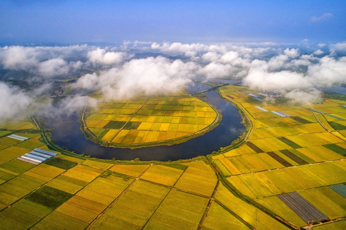 '남도의 젖줄' 영산강 유역에 드넓게 펼쳐진 나주평야. 나주가 '농도 전남'의 대표 지역임을 보여준다.