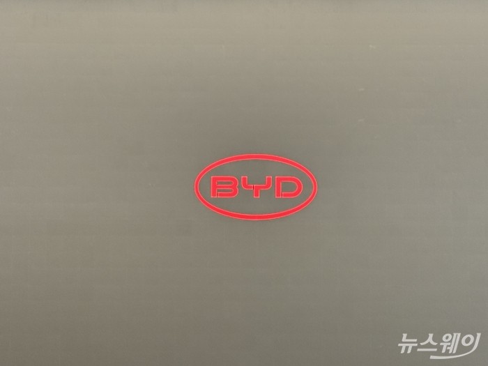 BYD 로고. 사진=황예인 기자