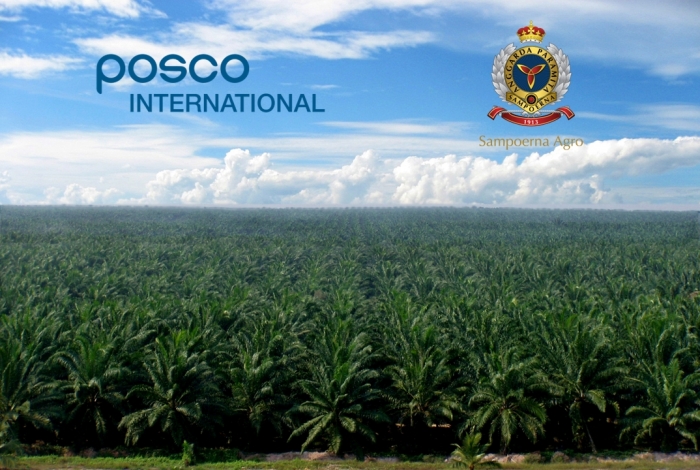 인도네시아 삼푸르나 아그로 팜 농장 전경. 사진=포스코인터내셔널 제공