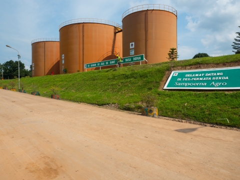 LNG·팜유 '투트랙' 전략···포스코인터, 그룹 내 존재감 커진다