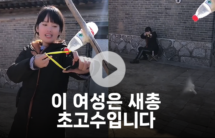 이 여성은 새총 초고수입니다 기사의 사진