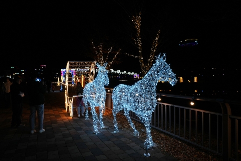 나주시, '빛가람 빛정원 페스타'로 겨울밤 수놓는다