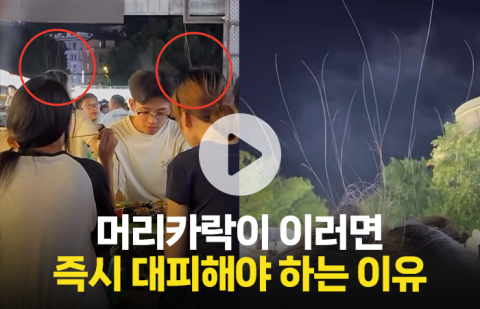 머리카락이 이러면 즉시 대피해야 하는 이유