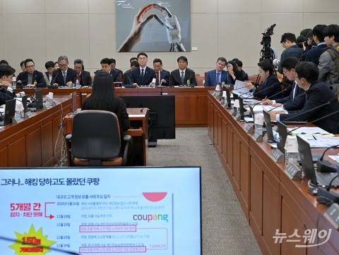 국회 과방위 쿠팡 침해사고 관련 현안 질의
