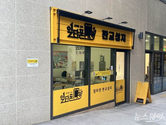 연말 '쩐의 전쟁' 발발···KT·LGU+ "갤럭시S25 공짜로 드려요"