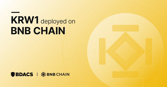 사진=비댁스 제공.