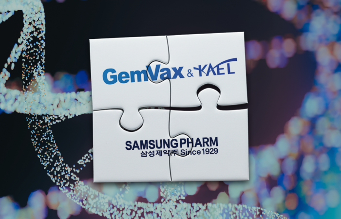  젬백스·삼성제약, 지분 연결 속 GV1001 의존 심화 기사의 사진