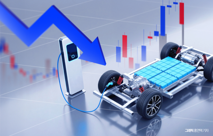 전기차 캐즘 시험대 오른 K배터리株···주가 바닥 탈출 언제 기사의 사진