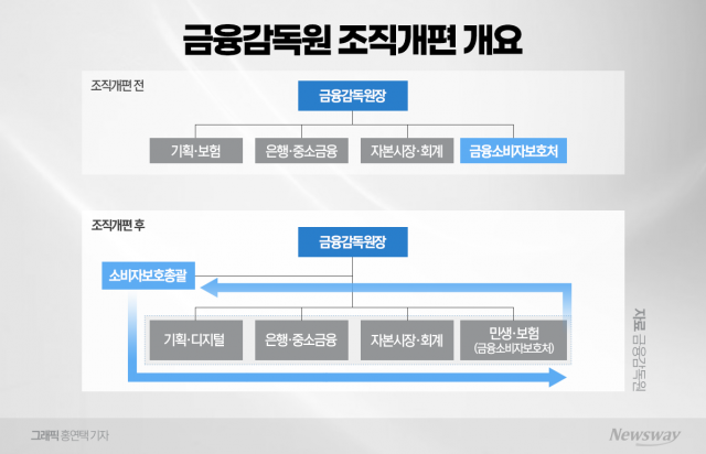  이찬진 '소비자보호' 전면에···원장 직속 총괄 부문 만든다