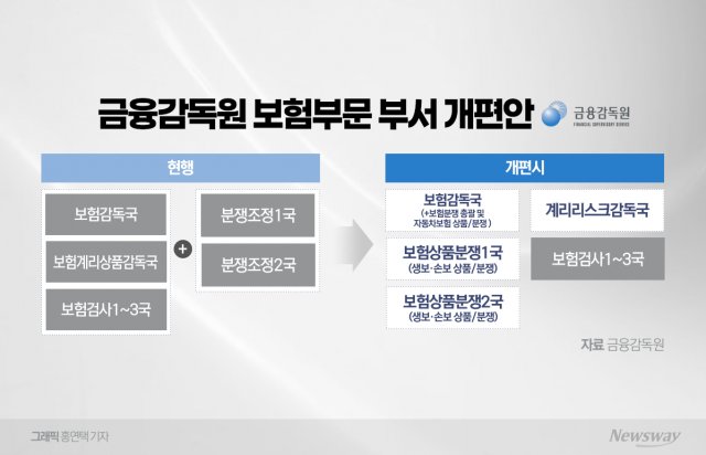 보험 부문 금소처로 이관...심사-분쟁조정 업무 한 부서로