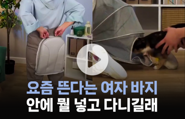 여자 바지에 달린 수상한 주머니···'이걸' 넣고 다닌다고?