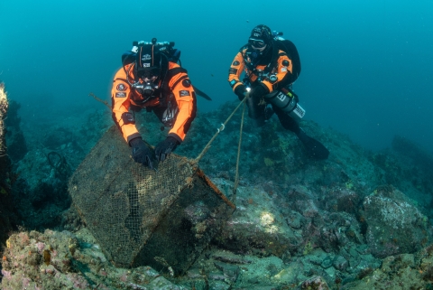 정의선 회장, 해양 생태계 복원 앞장서며 ESG 경영 리더십 입증