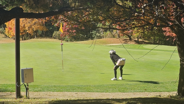 축하하는데 개버디라서 어쩌죠? 기사의 사진