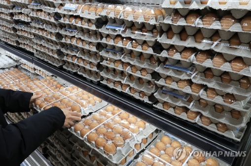 정부, 계란 수급 안정 위해 선제 조치···미국 신선란 224만개 시범 수입