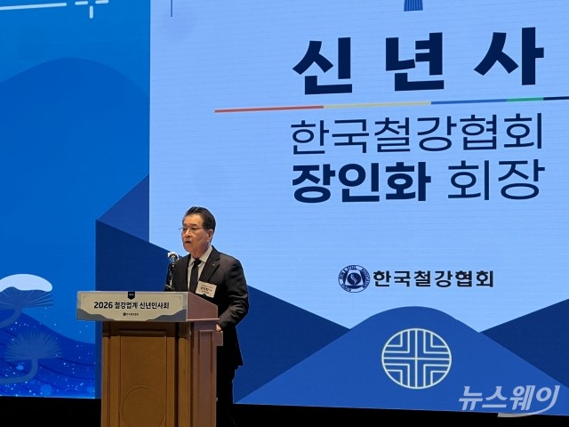 장인화 회장 "붉은 말처럼 도약하는 철강의 해 되길"