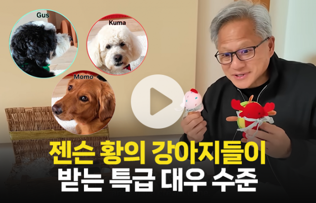 젠슨 황의 반려견이 받는 대우 수준···"개팔자가 상팔자네"