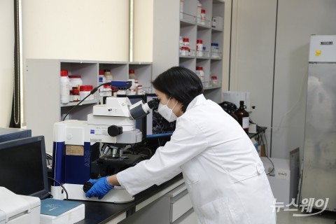 "특허 유산균으로 승부수"···hy, 프로바이오틱스 시장 선점