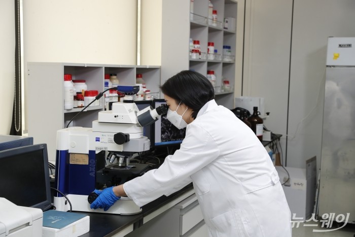 최근 hy의 원료 B2B(기업 간 거래) 사업 누적 판매량이 50톤을 넘었다. 사진제공=hy