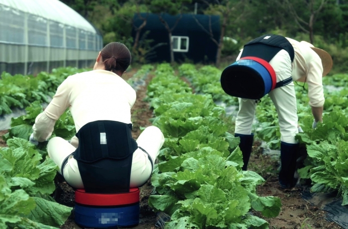 나주시가 농가에 보급하고 있는 농작업 편의 의자가 농업인들로부터 큰 호응을 얻고 있다.(사진제공 나주시)