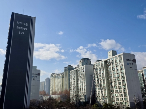 1기 신도시 분당 양지마을, 특별정비구역 지정