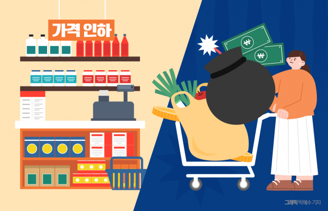생필품 할인 이어져도 소비자 체감물가는 왜 높을까