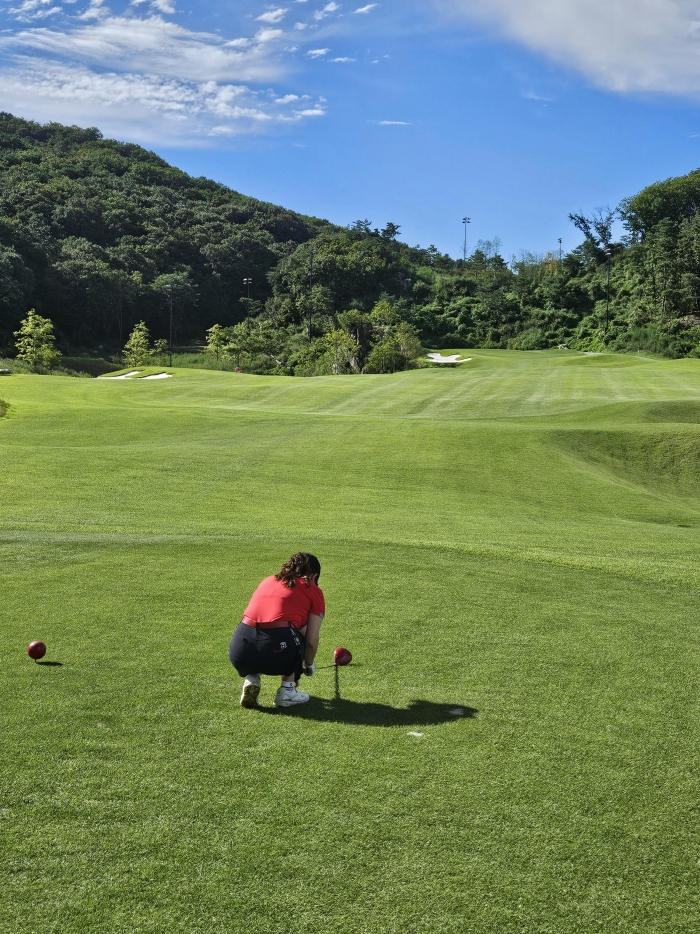 사진=기고자 제공