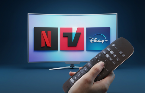 "넷플릭스만 키우는 구조"···규제 역차별 '이중고'