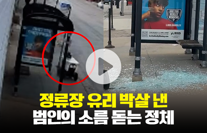 그래픽=박혜수 기자