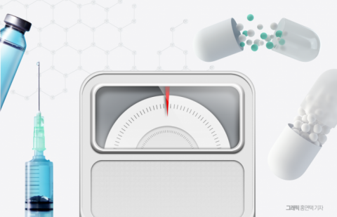 "인도는 인하, 미국선 구독"···'비만약' 가격 전략 제각각