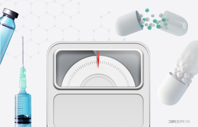 "인도는 인하, 미국선 구독"···'비만약' 가격 전략 제각각
