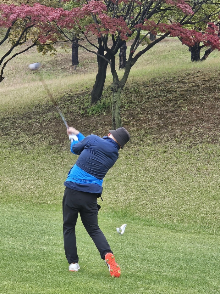 사진=기고자 제공