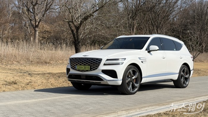 이름표 뗀 제네시스 GV80, 얼굴값으로 증명하다