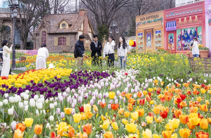 에버랜드 튤립축제 현장. 사진=에버랜드