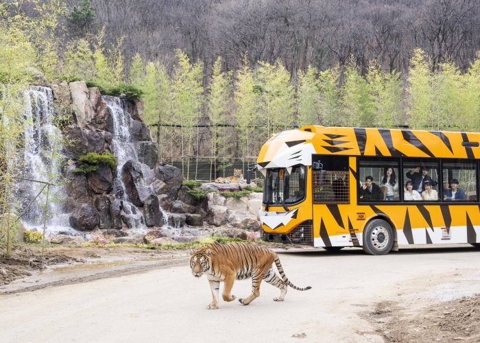 에버랜드 사파리월드. 사진=에버랜드